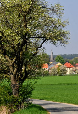 Blick über das Bohme-Gelände hinweg auf den Schlänger Kirchturm. Foto: Annette Fischer, Schlangen, 2013